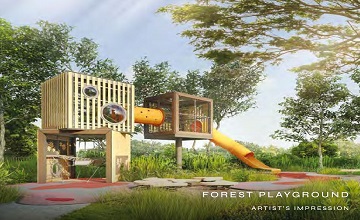 pinetree-hill-forest-playground
